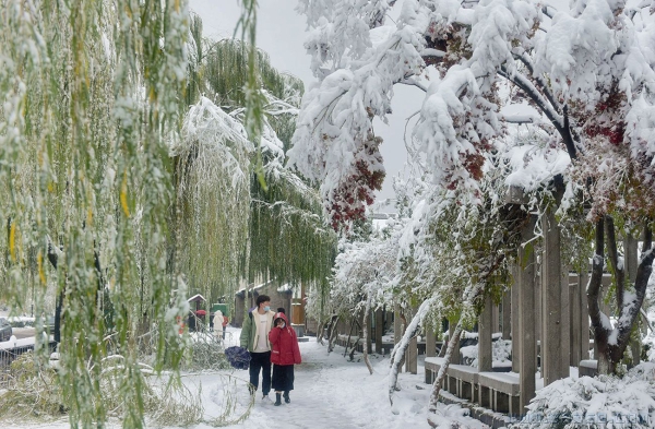 明湖冬雪