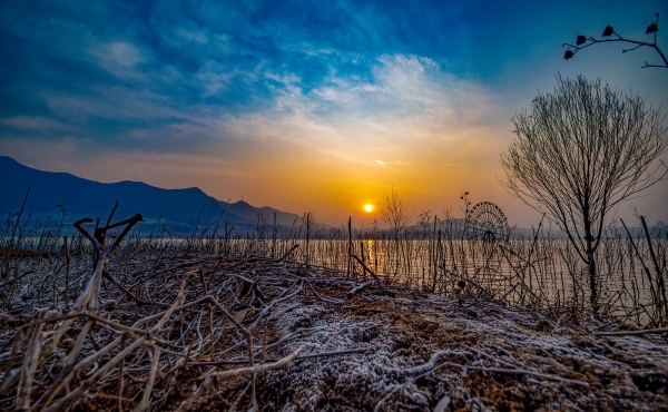 龙湖晨曦