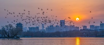 飞云锦千层外，人在丹青万幅中