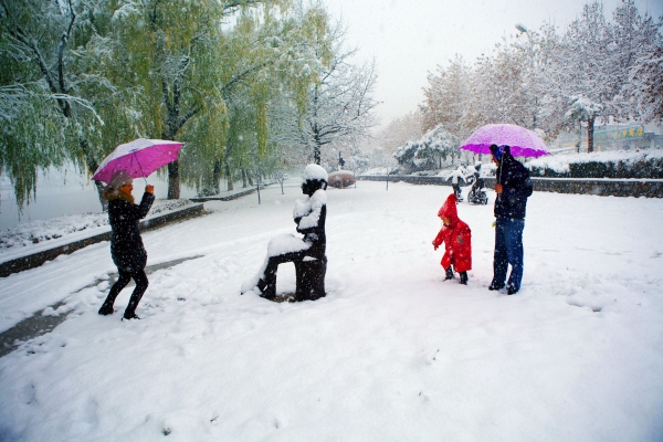 《雪中暖意》