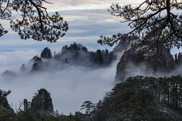 黄山云海松涛