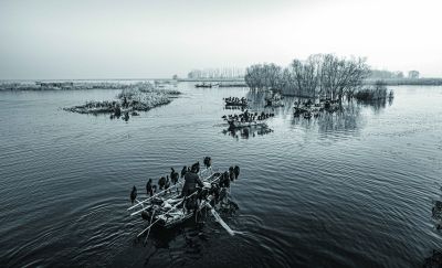 《扁舟载群禽》