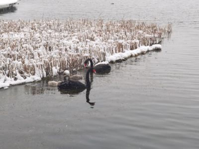 雪中华山（2025.12.13）二