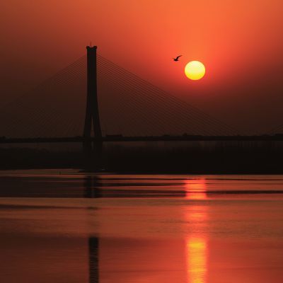 济南建邦黄河大桥46