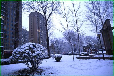 入冬滕州市第一场雪即景之二