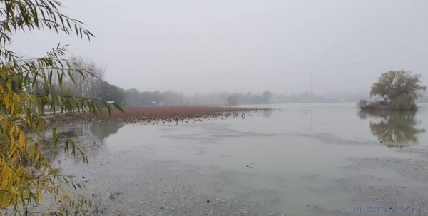 美里湖中影