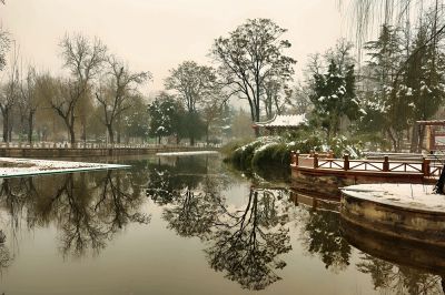 初春的雪（1）