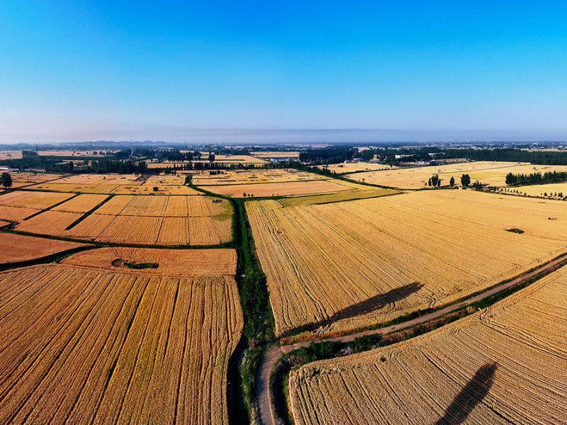 王振庆《东方摄影 · 我的2025》