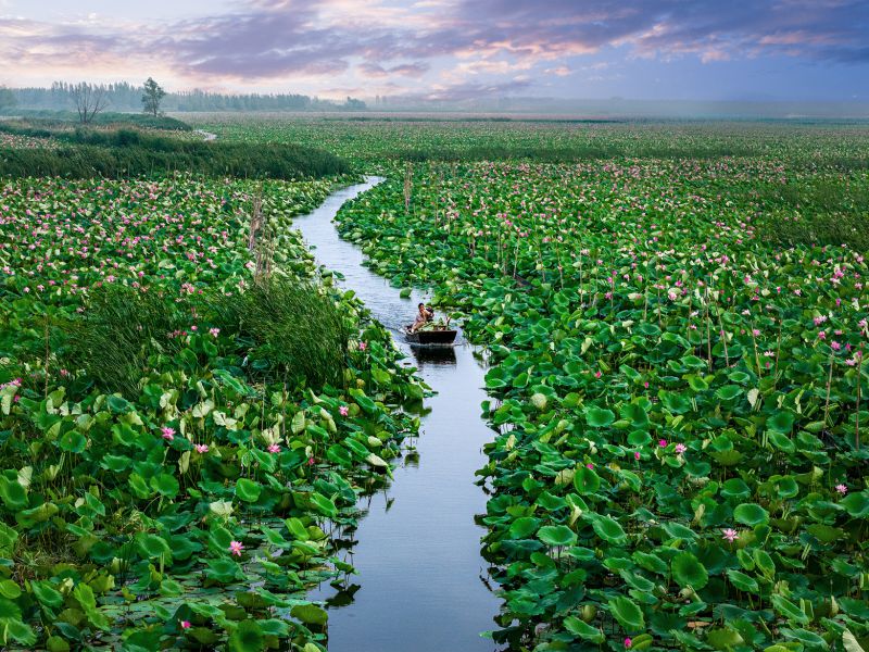 刘显保《东方摄影 · 我的2025》